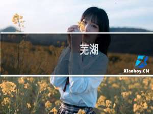 芜湖，起飞，飞飞飞飞飞什么梗