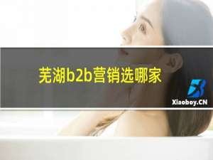 芜湖b2b营销选哪家