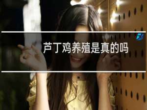 芦丁鸡养殖是真的吗