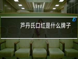 芦丹氏口红是什么牌子