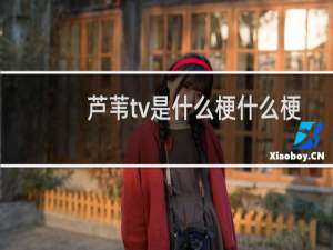 芦苇tv是什么梗什么梗