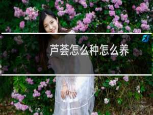芦荟怎么种怎么养