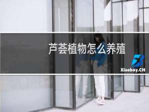 芦荟植物怎么养殖