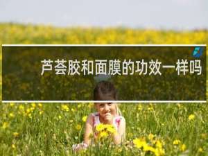 芦荟胶和面膜的功效一样吗