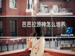 芭芭拉原神怎么培养