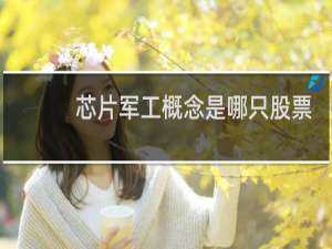 芯片军工概念是哪只股票