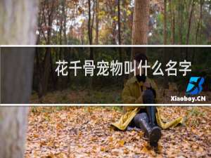 花千骨宠物叫什么名字