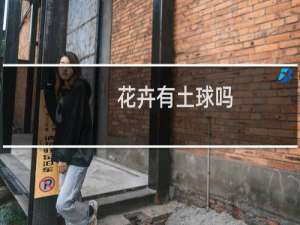 花卉有土球吗