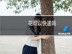 花可以快递吗