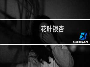 花叶银杏