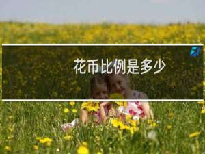 花币比例是多少