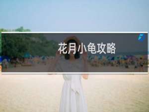 花月小龟攻略