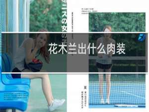 花木兰出什么肉装