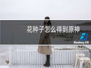 花种子怎么得到原神