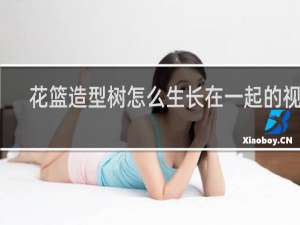 花篮造型树怎么生长在一起的视频