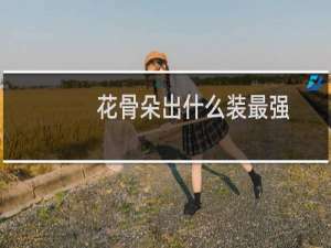 花骨朵出什么装最强