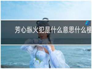 芳心纵火犯是什么意思什么梗