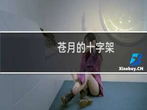 苍月的十字架 视频攻略