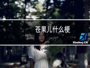 苍果儿什么梗