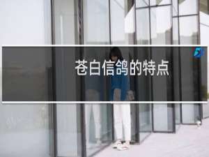 苍白信鸽的特点