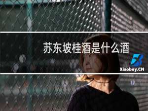 苏东坡桂酒是什么酒