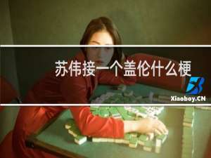 苏伟接一个盖伦什么梗