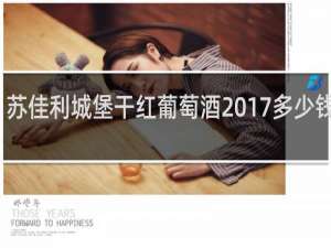 苏佳利城堡干红葡萄酒2017多少钱一瓶