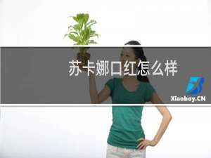 苏卡娜口红怎么样