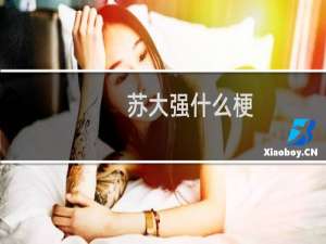 苏大强什么梗