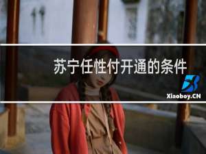 苏宁任性付开通的条件（苏宁任性付开通条件）