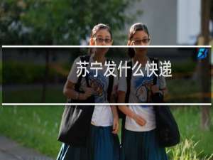 苏宁发什么快递