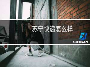 苏宁快递怎么样