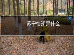 苏宁快递是什么