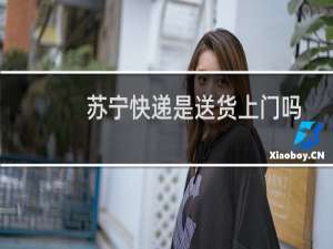 苏宁快递是送货上门吗