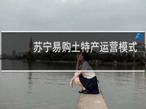苏宁易购土特产运营模式