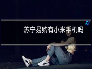 苏宁易购有小米手机吗