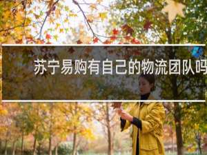 苏宁易购有自己的物流团队吗