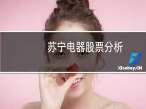 苏宁电器股票分析