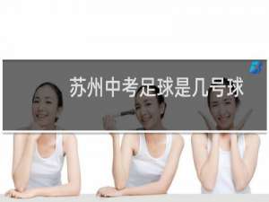 苏州中考足球是几号球