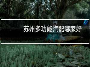 苏州多功能汽配哪家好