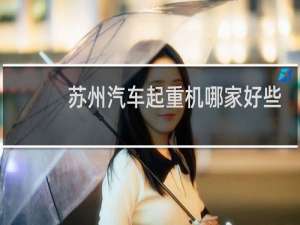 苏州汽车起重机哪家好些