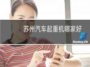 苏州汽车起重机哪家好