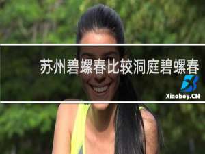苏州碧螺春比较洞庭碧螺春