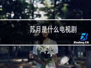 苏月是什么电视剧