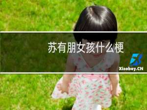 苏有朋女孩什么梗？什么梗