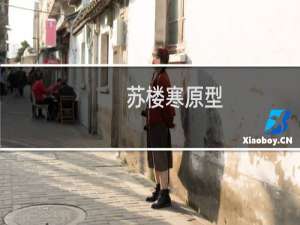 苏楼寒原型（苏楼寒历史上真有其人吗）