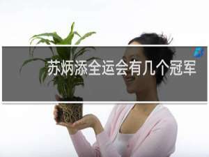 苏炳添全运会有几个冠军
