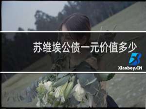 苏维埃公债一元价值多少