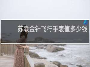 苏联金针飞行手表值多少钱