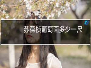 苏葆桢葡萄画多少一尺